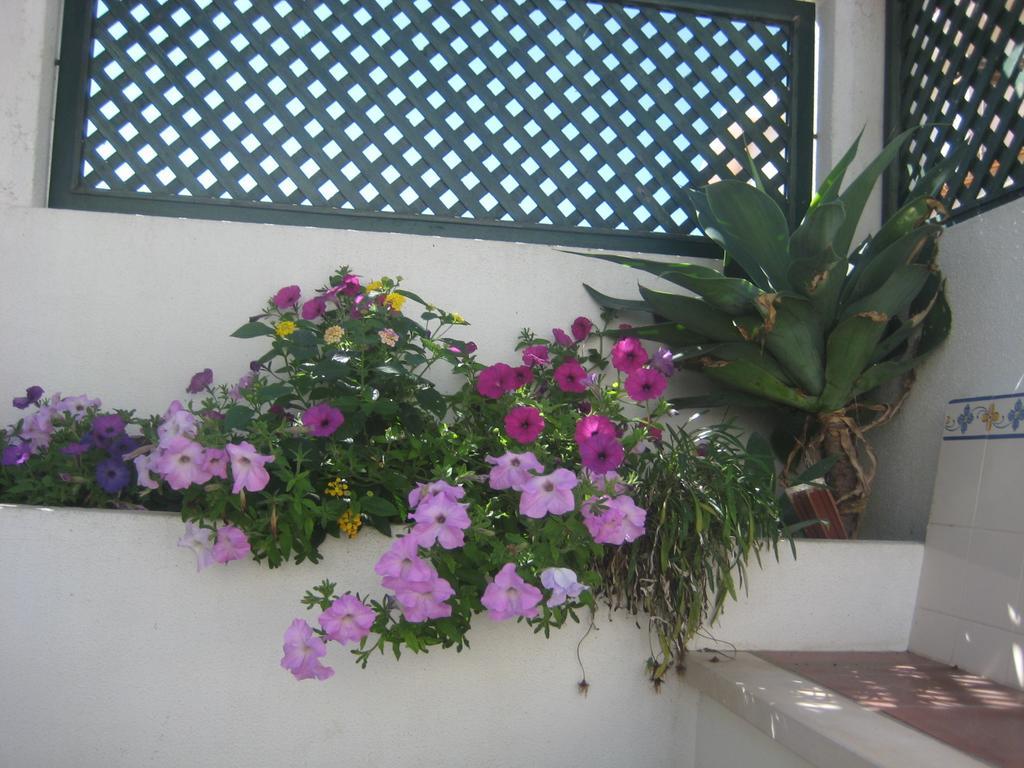 A Casinha Hotel Areia Branca Exterior foto